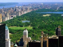 What, no more buggy rides in NY's Central Park? What, no more buggy rides in NY's Central Park?