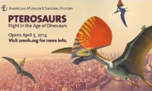 Mysterious prehistoric reptiles fly into NY Mysterious prehistoric reptiles fly into NY