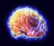 US experts urge focus on ethics in brain research US experts urge focus on ethics in brain research