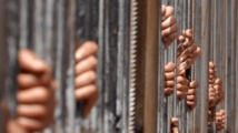 Hundreds freed in Syria prisoner amnesty: monitor