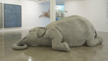 Indian elephant gets her own art exhibition Indian elephant gets her own art exhibition
