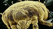World's first microbe 'zoo' opens in Amsterdam World's first microbe 'zoo' opens in Amsterdam