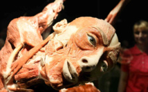 German 'Dr Death' opens corpse museum in Berlin German 'Dr Death' opens corpse museum in Berlin