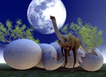 Dozens of dinosaur eggs found at construction site in China Dozens of dinosaur eggs found at construction site in China