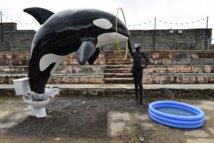 Artist Banksy opens sinister theme park at British seaside Artist Banksy opens sinister theme park at British seaside