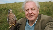 Naturalist David Attenborough says Sun can save Earth Naturalist David Attenborough says Sun can save Earth