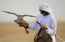 Gunmen kidnap at least 26 Qatari hunters in Iraq: officials Gunmen kidnap at least 26 Qatari hunters in Iraq: officials