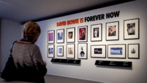 Dutch museum seeks to extend Bowie expo