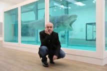 Damien Hirst artworks leaked formaldehyde gas: study Damien Hirst artworks leaked formaldehyde gas: study