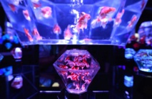 Goldfish submarines and musical cats at Tokyo toy show Goldfish submarines and musical cats at Tokyo toy show