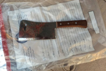 refugee kills woman in Germany machete attack  refugee kills woman in Germany machete attack