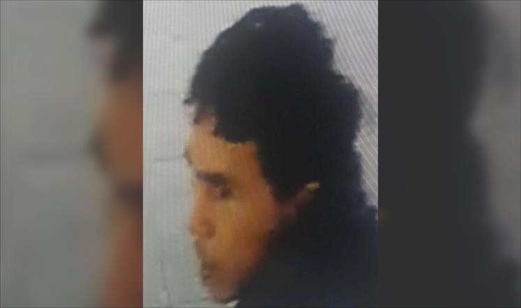 Wanted Istanbul attacker 'fought for IS in Syria'
