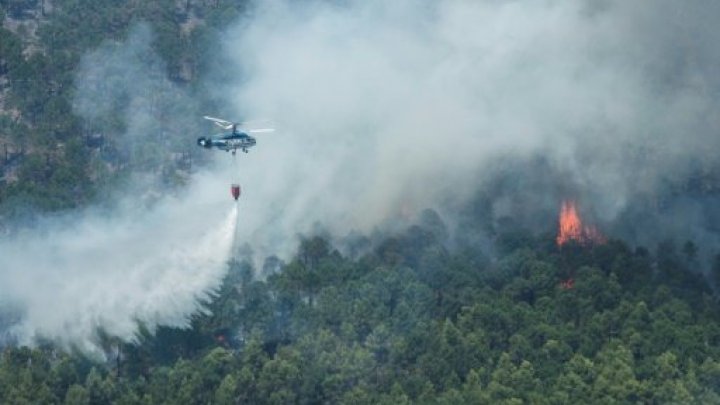 Hundreds of firefighters with aircraft combat blazes near Athens