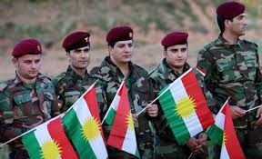 More than 92 per cent in Iraqi Kurdistan voted for independence More than 92 per cent in Iraqi Kurdistan voted for independence