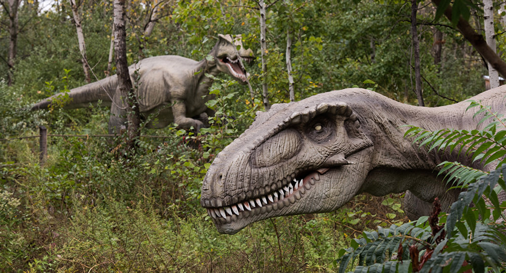 Vandals damage 115-million-year-old dinosaur footprint near Melbourne