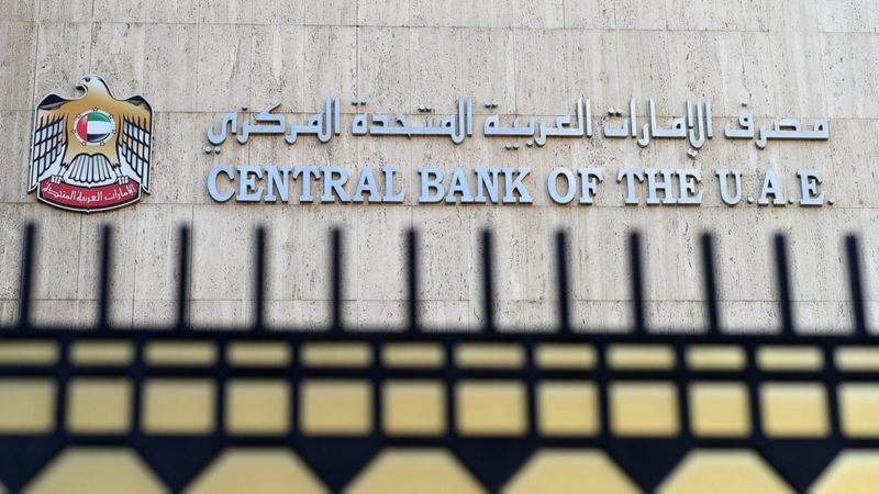 FinCEN Files: UAE central bank failed to prevent sanctions evasion