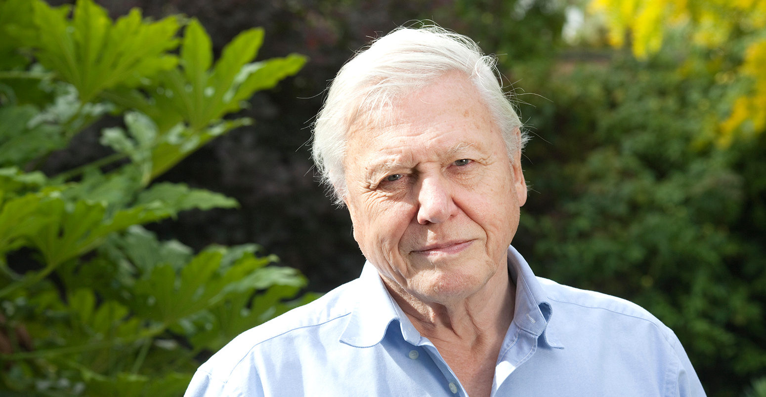 David Attenborough joins Instagram to help 'world in trouble' David Attenborough joins Instagram to help 'world in trouble'
