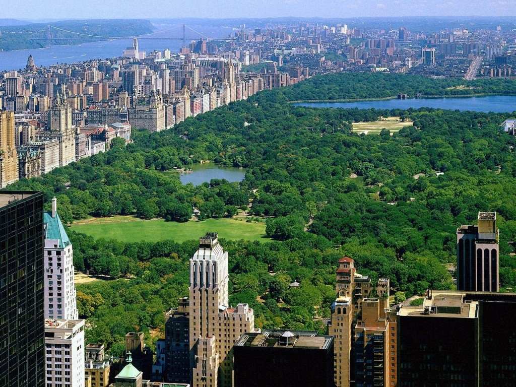 What, no more buggy rides in NY's Central Park?