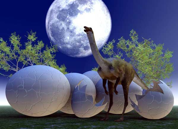 Dozens of dinosaur eggs found at construction site in China