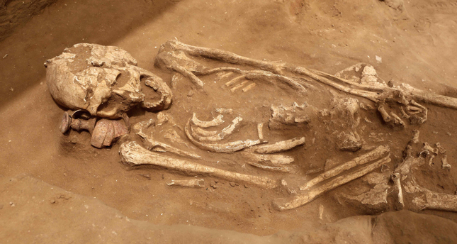 Old bones cast new light on Goliath's people Old bones cast new light on Goliath's people