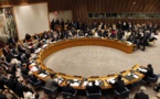 UN Security Council to meet on Syria: diplomats