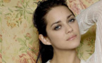 Marion Cotillard rebuffs rumours of fling with Pitt