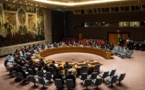 UN Security Council to meet on Syria