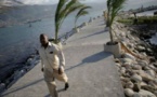 At least 1.4 million need aid in Haiti after Matthew: UN