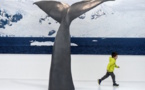 World's first museum of polar lands opens in France