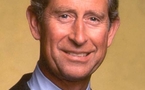 Prince Charles in online call for action on deforestation