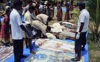 US, Britain urge Sri Lankans to stop fighting, spare civilians