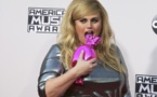 Hollywood's Rebel Wilson wins defamation case