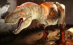 Tyrannosaurus rex was one sick puppy: study