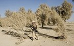 Lawmakers caution Obama against Afghan troops