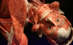 Museum of plastinated human bodies can stay open, Berlin court rules