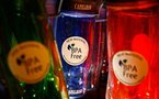 Plastics component affects intestine: study
