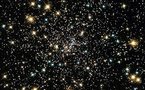 Scientists discover Earth-like, water-rich planet: study