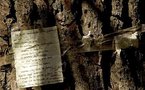 No trace found of Garcia Lorca's remains: Spanish official