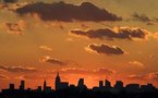 New Yorkers beware! New cockroach hits the Big Apple