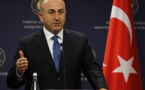 Cavusoglu: Syrian government's Idlib offensive jeopardizes peace