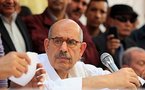 Egypt publisher of pro-ElBaradei book arrested: rights group
