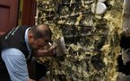 Hashish shortage in Egypt sparks plot theories