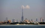 Dubai arrests man impersonating celebrity US surgeon: media