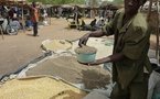 Ten million short of food in west Africa: UN