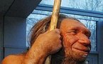 Humans interbred with Neanderthals: genome analysis