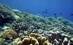 Prehistoric fish extinction cleared path for vertebrates: study