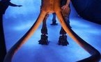 Did megafauna extinction cool the planet?