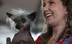 World's ugliest dog dies at 17