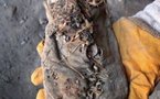 5,500-year leather moccassin world's oldest shoe