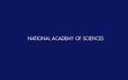 Scientists sequence genome of the human louse
